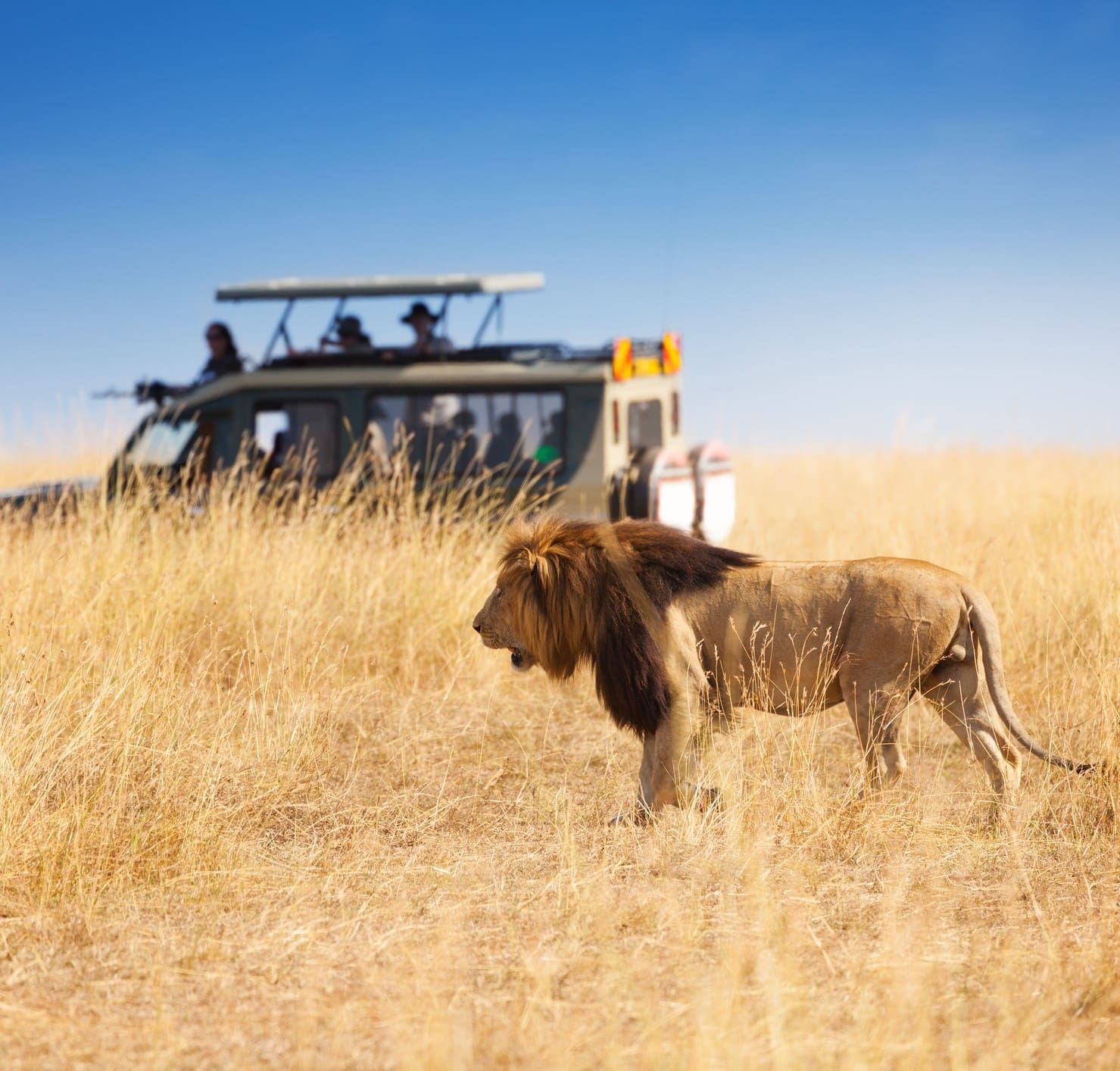 Helping Hand African Tours & Safaris